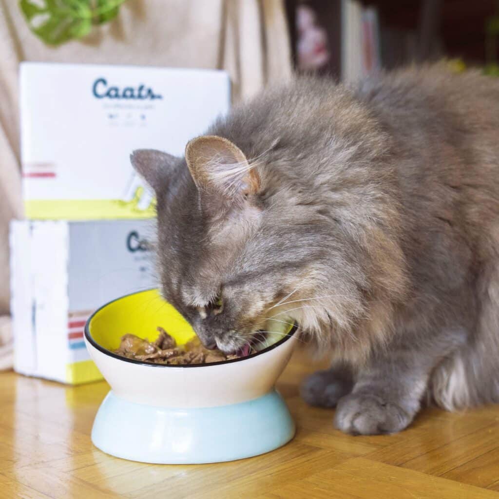 Pâtée effilochée en gelée