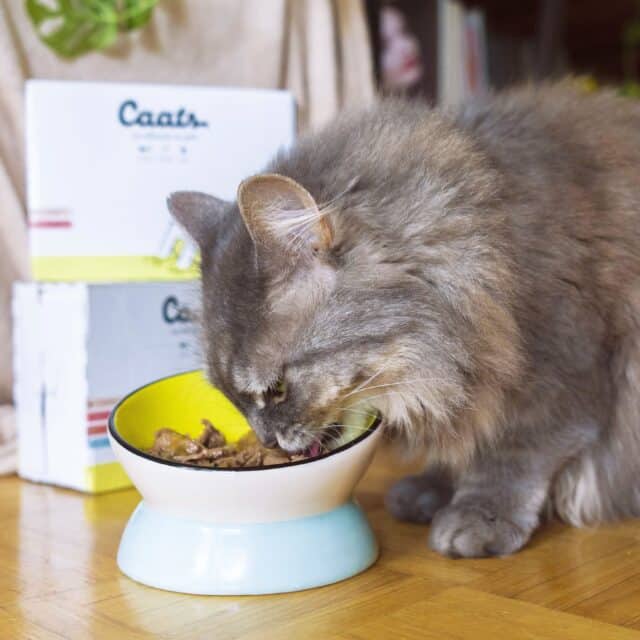 Pâtée effilochée en gelée