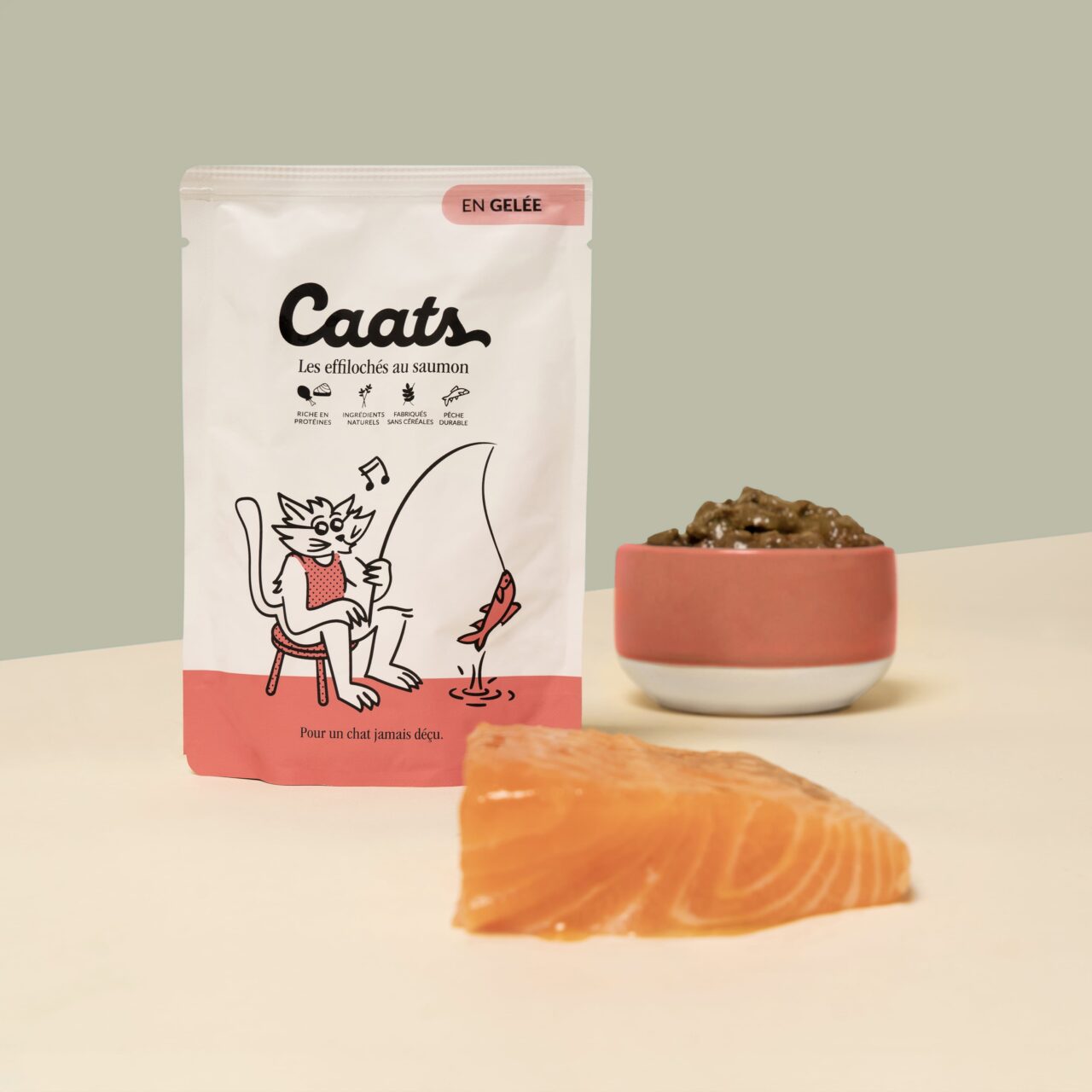 paté pour chat au saumon