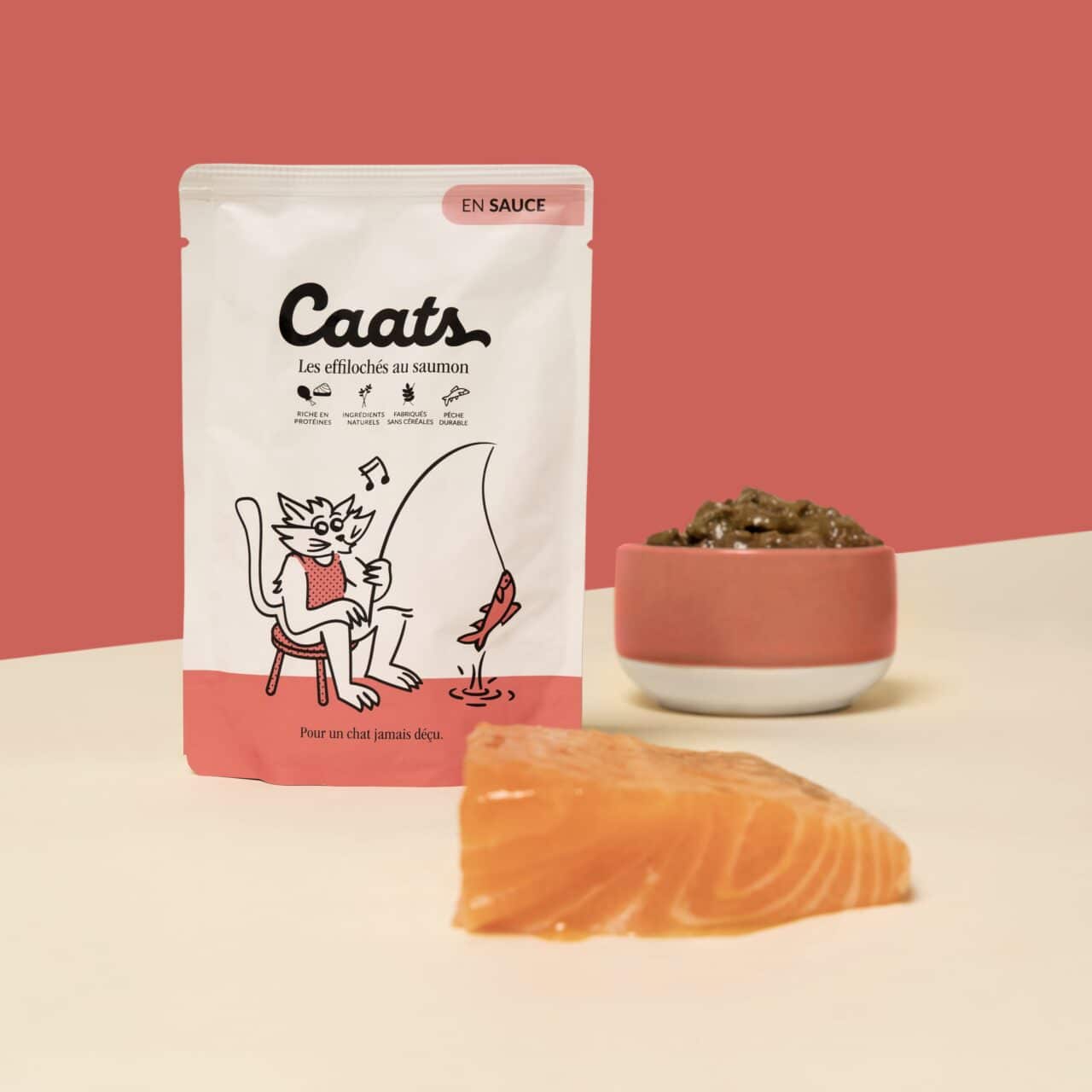 Pâtée pour chat au saumon avec morceaux