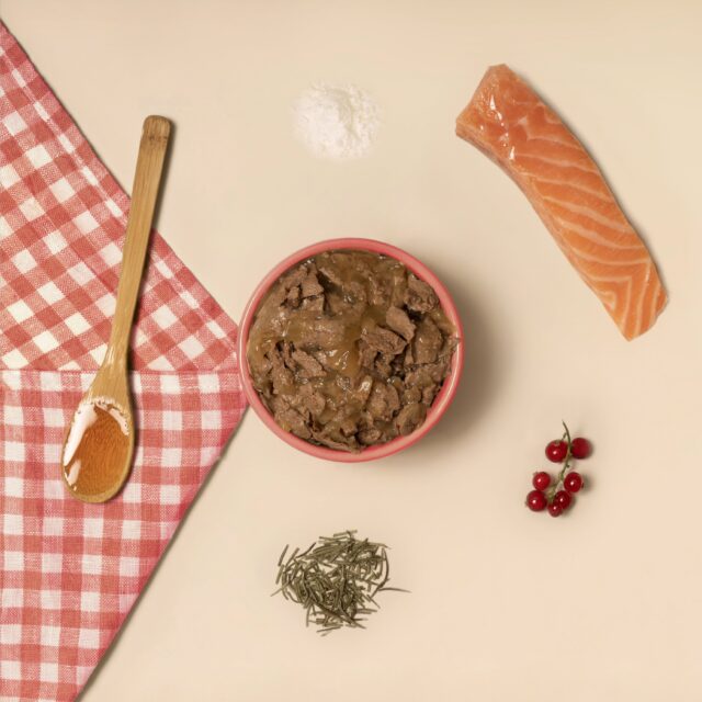 Patée pour chat au saumon