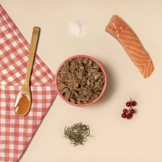 Pâtée pour chat au saumon dans une gamelle