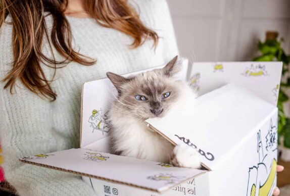 chat qui mord un carton de nourriture