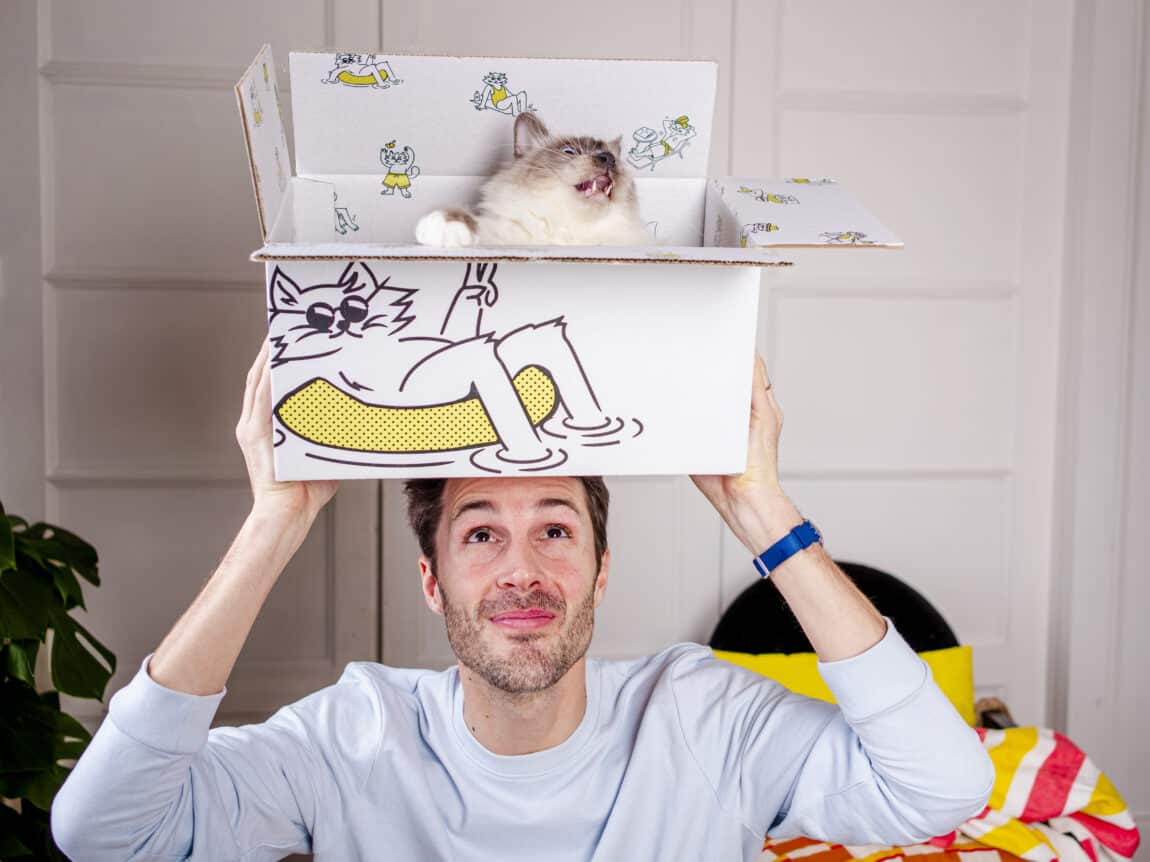 chat dans un carton de nourriture