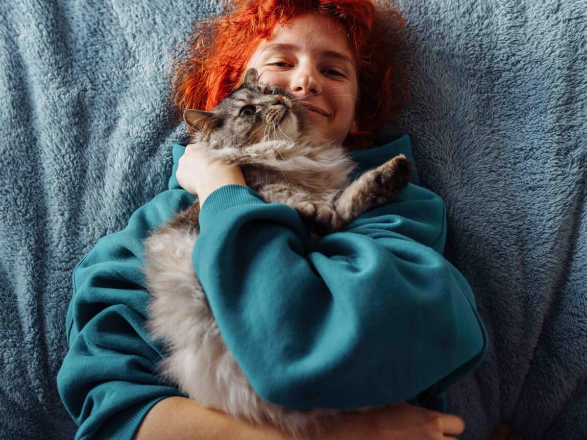 chat qui fait un câlin