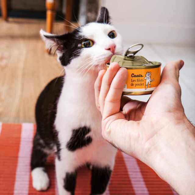 Pâtée pour chat, filets de poulet