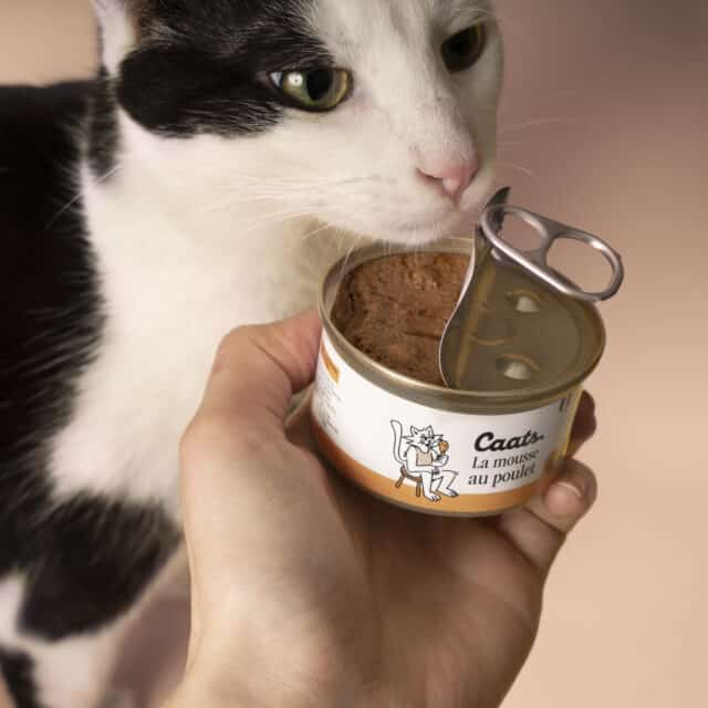 mousse au poulet pour chat noir et blanc