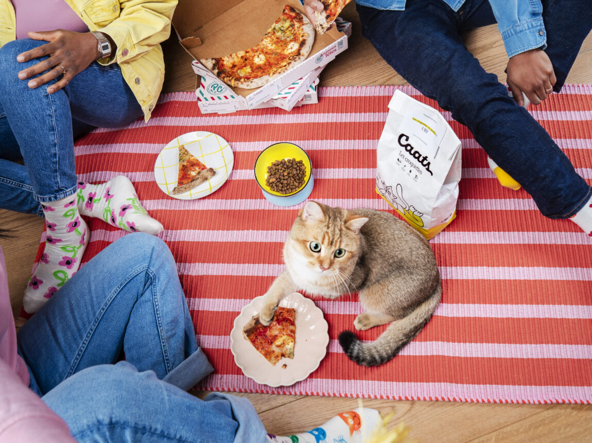 comment savoir si mon chat mange assez