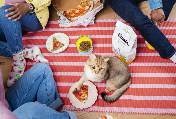 comment savoir si mon chat mange assez