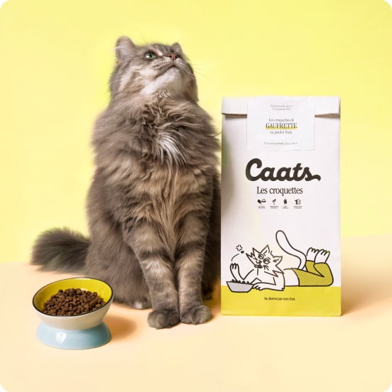 Croquettes pour chat Caats