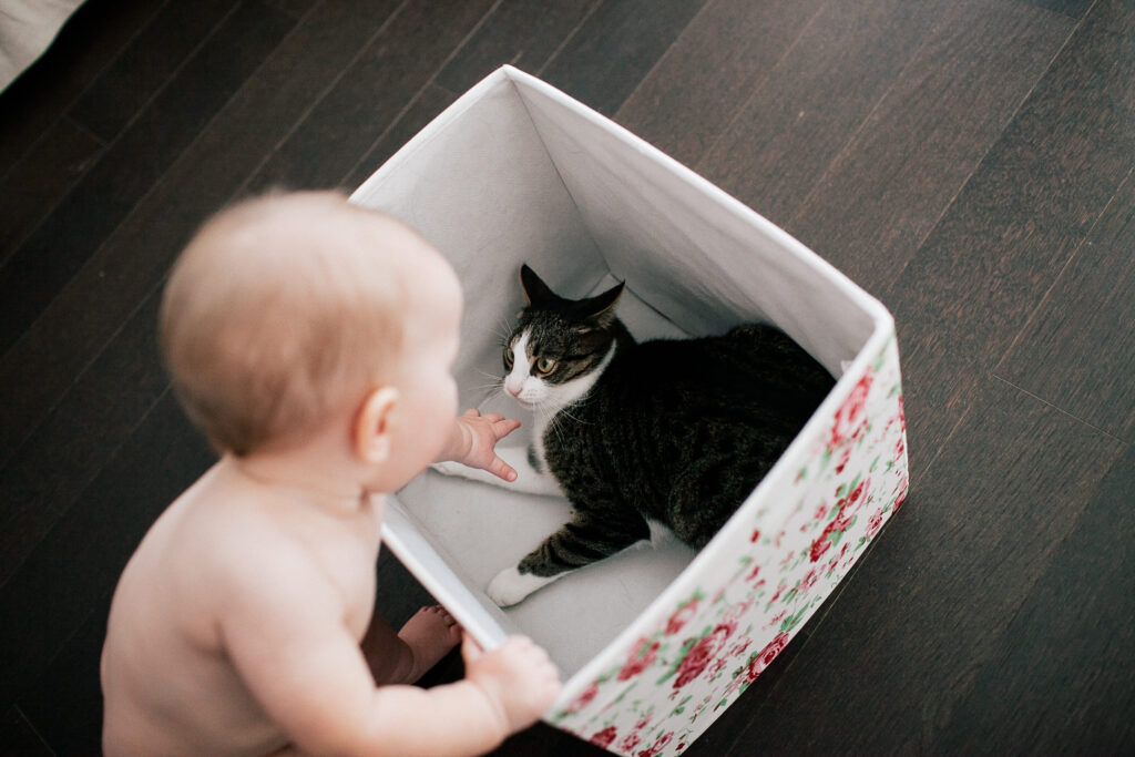 chat et bébé