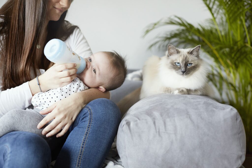 Chat et bébé