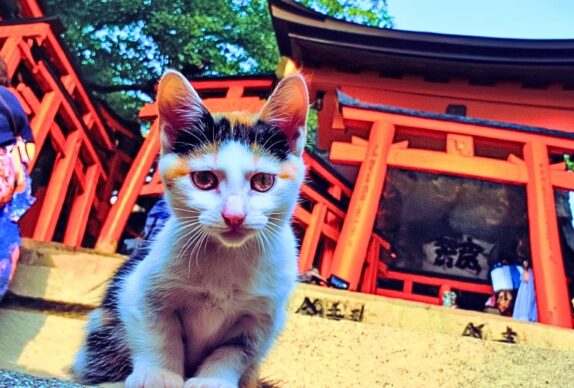 Les Japonais adorent les chats