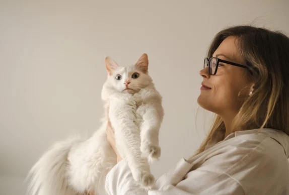 couleurs angora turc