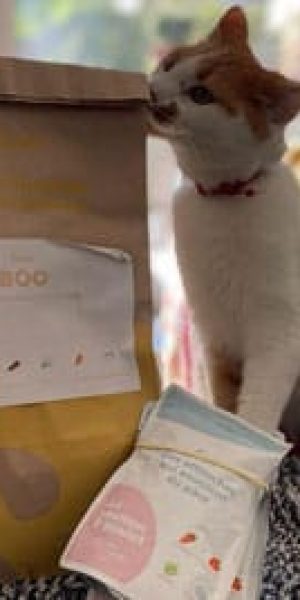 chat,chat sans céréale,chat sans céréales,chats,croquette,croquette chat sans céréale,croquette sans céréale,croquette sans céréales,croquettes,croquettes chat,croquettes chat sans cereales,croquettes chat sans céréales,croquettes chats sans,croquettes chats sans céréales,croquettes sans,croquettes sans cereales,croquettes sans céréale,croquettes sans céréales,croquettes sans céréales chat,céréales,sans,sans cereales,sans céréale chat,sans céréales,sans céréales chat