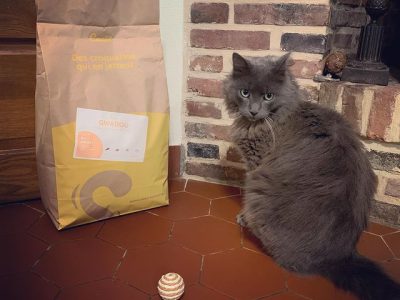 chat,chat sans céréale,chat sans céréales,chats,croquette,croquette chat sans céréale,croquette sans céréale,croquette sans céréales,croquettes,croquettes chat,croquettes chat sans cereales,croquettes chat sans céréales,croquettes chats sans,croquettes chats sans céréales,croquettes sans,croquettes sans cereales,croquettes sans céréale,croquettes sans céréales,croquettes sans céréales chat,céréales,sans,sans cereales,sans céréale chat,sans céréales,sans céréales chat