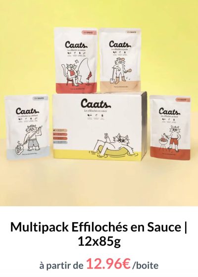 Nourriture humide pour chat