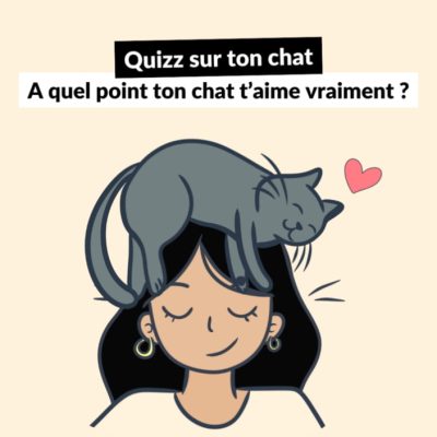 Quizz sur ton chat